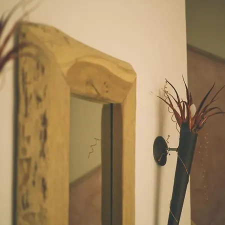 Villa-senta-apartment-8 Daire Kühlungsborn